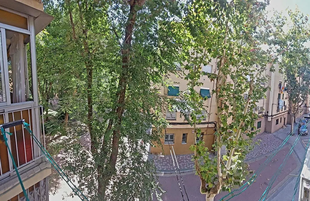 Casa de Dani 1-1